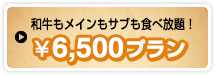 8,000円コース